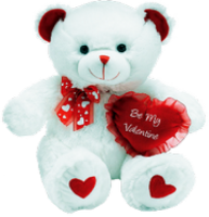 a white valentine teddybear
